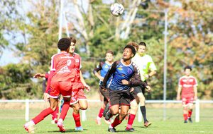 𝗖𝗢𝗨𝗣𝗘 𝗚𝗔𝗠𝗕𝗔𝗥𝗗𝗘𝗟𝗟𝗔